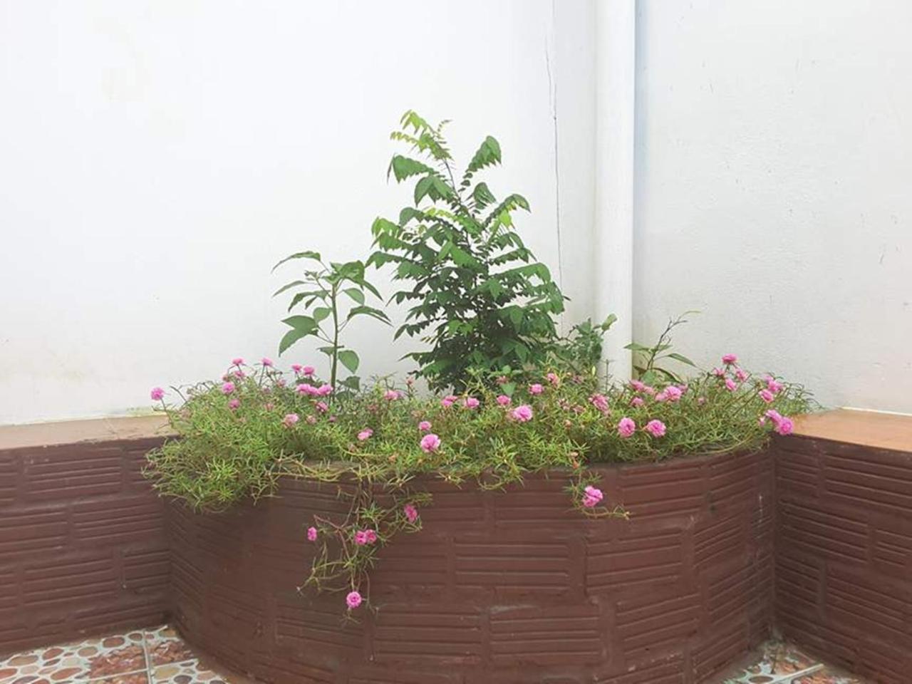 Army Barracks Guesthouse Vang Vieng Ngoại thất bức ảnh